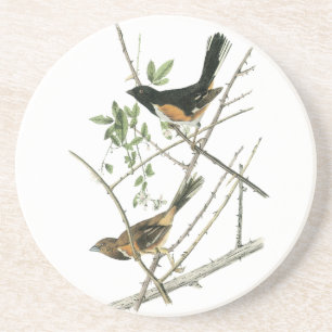 Porta-copos John Audubon Rufous-tomou partido Towhee