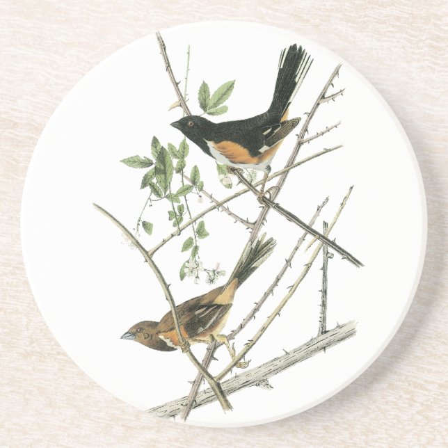 Porta-copos John Audubon Rufous-tomou partido Towhee (Frente)