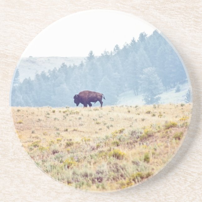 Porta-copos Lamar (Frente)