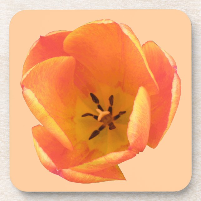 Porta copos Laranja Tulip Cork (Frente)