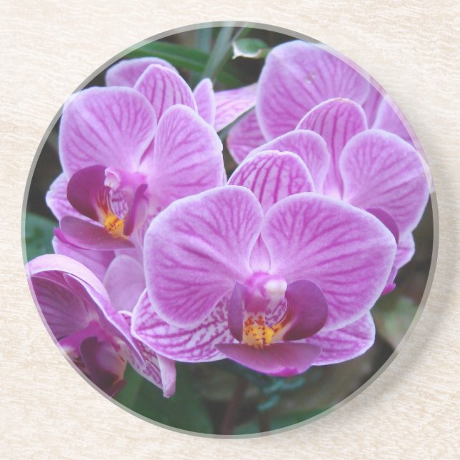 Porta-copos Lavender Orchid (Frente)