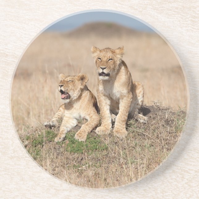 Porta-copos Leões jovens (Frente)