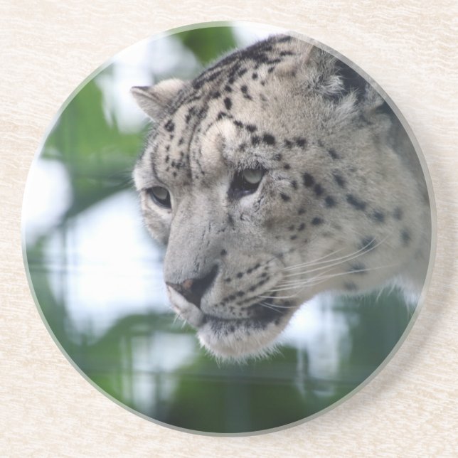 Porta-copos Leopardo 003 (Frente)
