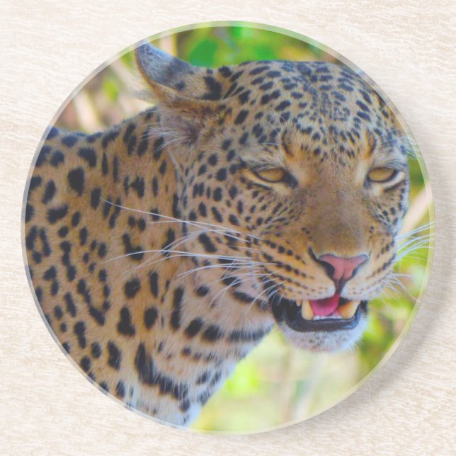 Porta-copos Leopardo Manchado (Frente)