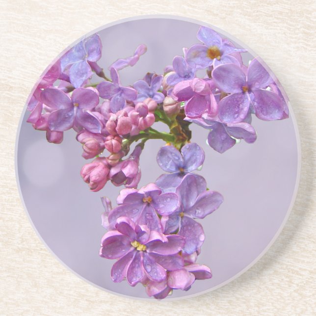 Porta-copos Lilases em Springtime (Frente)