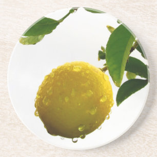 Porta copos - limão molhado