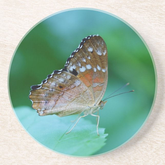 Porta-copos Linda Borboleta Danaus Plexippus na Folha. (Frente)