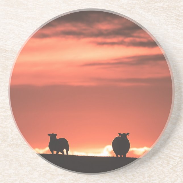 Porta-copos Lofoten Islands Sunset Sheep Nature Foto (Frente)