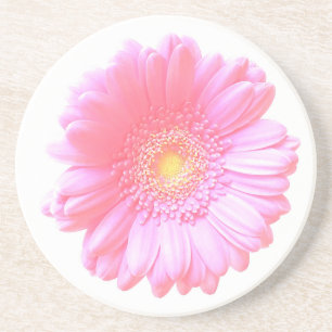Porta-copos Luz - margarida cor-de-rosa do gerbera