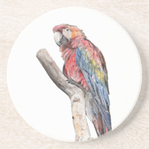 Porta-copos Macaw Parrot Watercolor