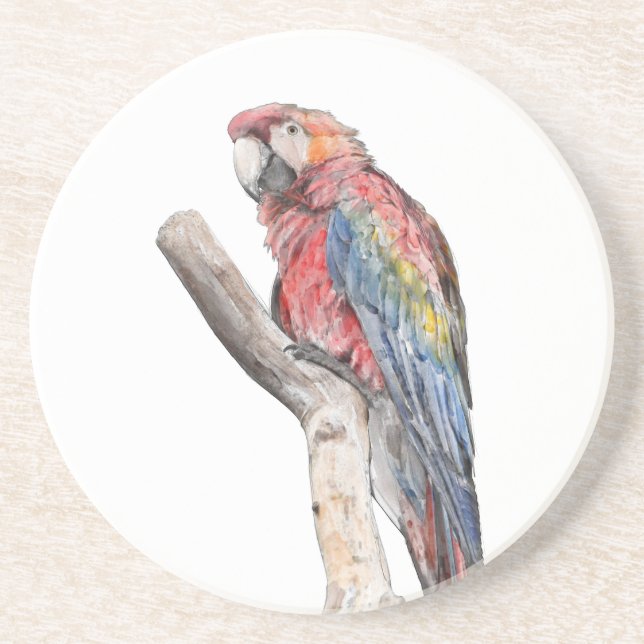 Porta-copos Macaw Parrot Watercolor (Frente)
