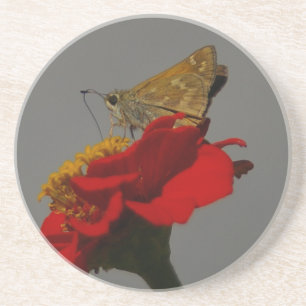 Porta-copos Mães e Zinnia Vermelha