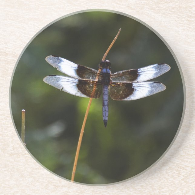 Porta-copos Male Widow Skimmer Dragonfly (Frente)