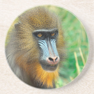 Porta-copos Mandrill 002