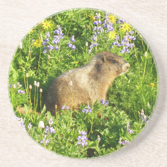 Porta-copos Marmot no Monte Rainier Wildflower (Frente)