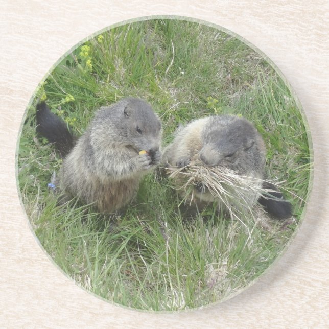 Porta copos Marmots (Frente)