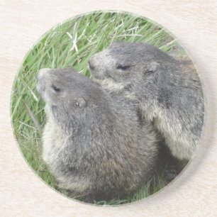 Porta copos Marmots