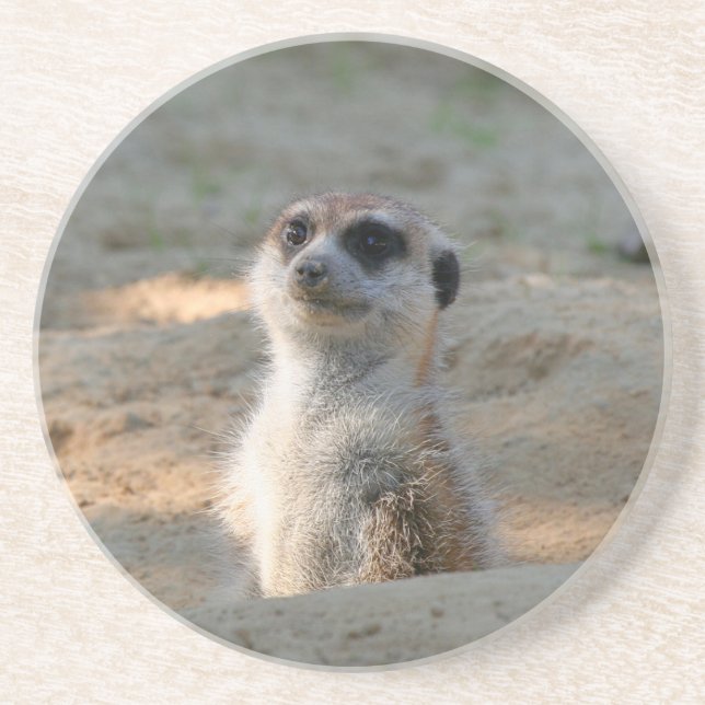 Porta-copos Meerkat 004 (Frente)