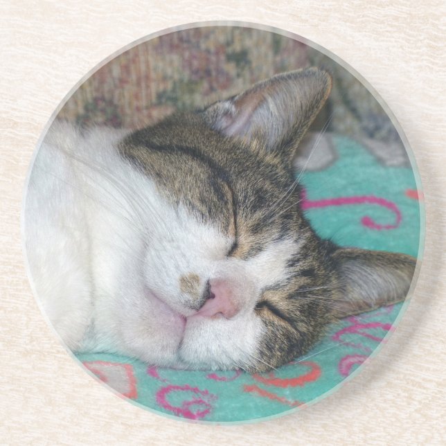 Porta-copos Mel Dormindo (Frente)