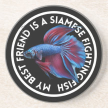 Melhor Amigo Azul Betta Fish