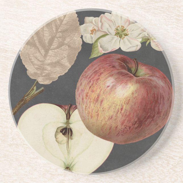 Porta-copos Midnight Harvest II (Frente)