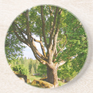 Porta-copos Midverão Light Småland