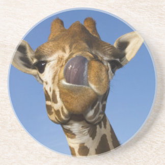 Porta-copos Mmmm Mmmmm bom