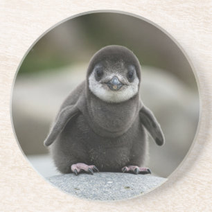 Porta-copos Morderno Suporte de Papel de Mármore Branco Rústic