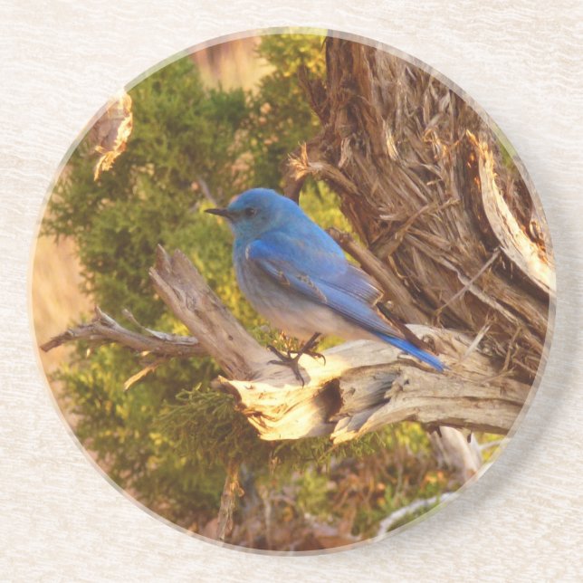 Porta-copos Mountain Bluebird no Parque Nacional de Arches (Frente)