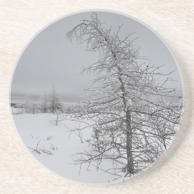 Porta-copos Narnia (Frente)