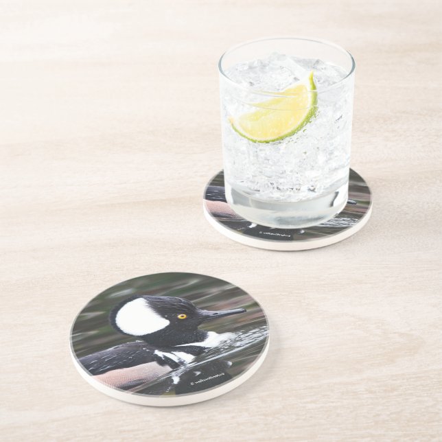 Porta-copos Natações De Pato De Merganser Amarradas Por (Lateral)