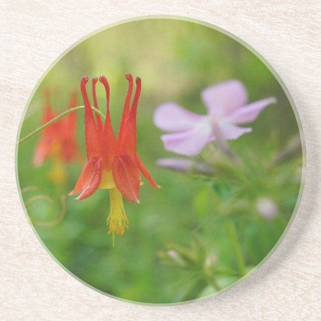 Porta-copos Nature's Crown (Frente)