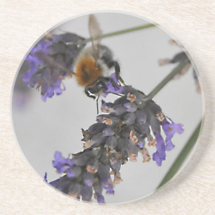 Porta-copos Natures WonMaravilha Workers