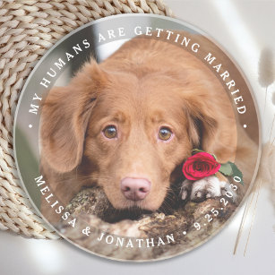 Porta-copos Noivado de Foto Personalizada de Cão Pet Wedding