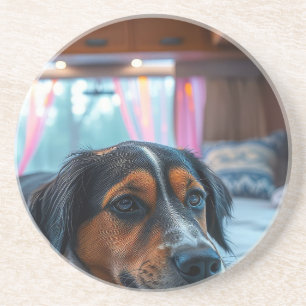 Porta-copos Nome: Sonhos de Cachorro Adormecido