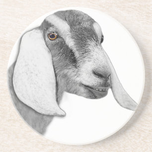 Porta copos Nubiana de Capat Sandstone