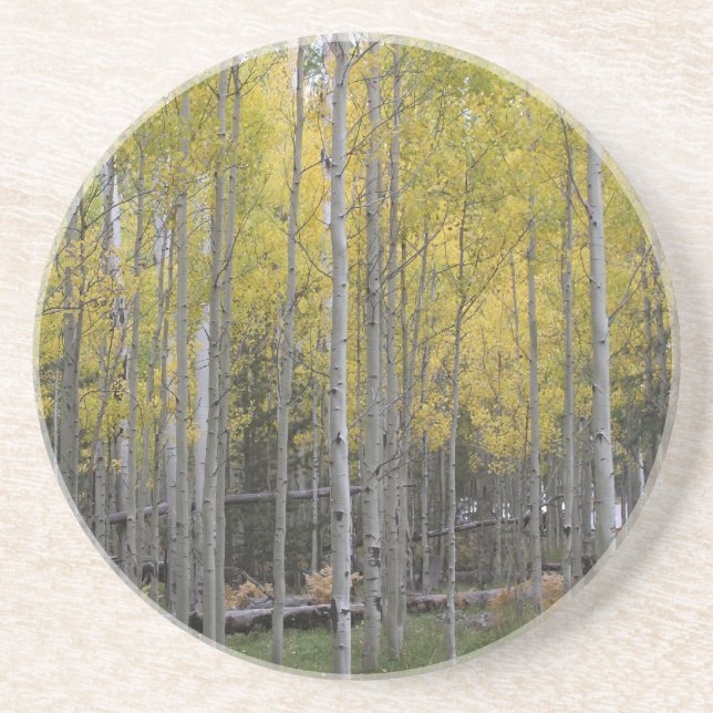 Porta-copos O brilho amarelo de Aspen (Frente)