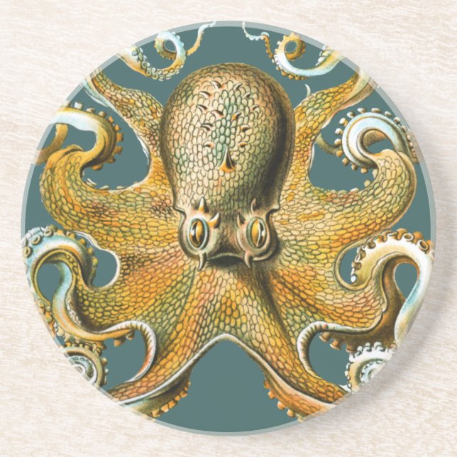 Porta-copos O polvo de Ernst Haeckel (Frente)