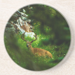 Porta-copos O Príncipe da Floresta