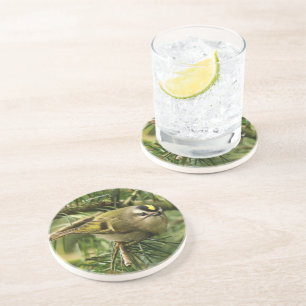 Porta-copos O sabiá-lo causa uma agitação no fogo