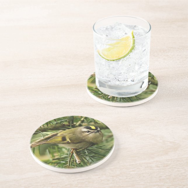 Porta-copos O sabiá-lo causa uma agitação no fogo (Lateral)