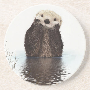 Porta-copos Óbvia sorridente no lago