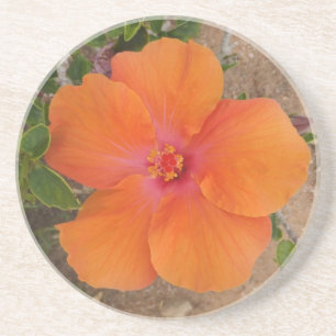 Porta copos Orange Hibiscus