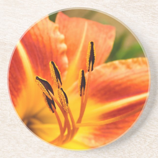 Porta-copos Orange Tiger Lily (Frente)