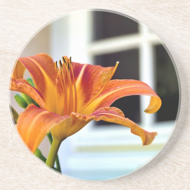 Porta-copos Orange Tiger Lily (Frente)
