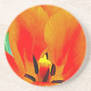 Porta-copos Orange Tulip
