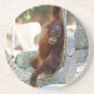 Porta-copos OrangUtan 001