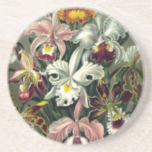 Orquídea Impressão de Botânica