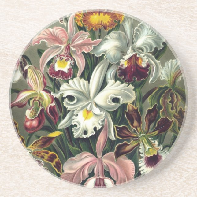 Porta-copos Orquídea Impressão de Botânica (Frente)
