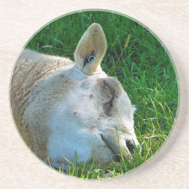 PORTA-COPOS OVINO (Frente)